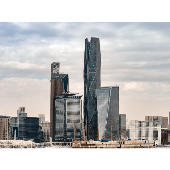 SANID-about-thumbnail